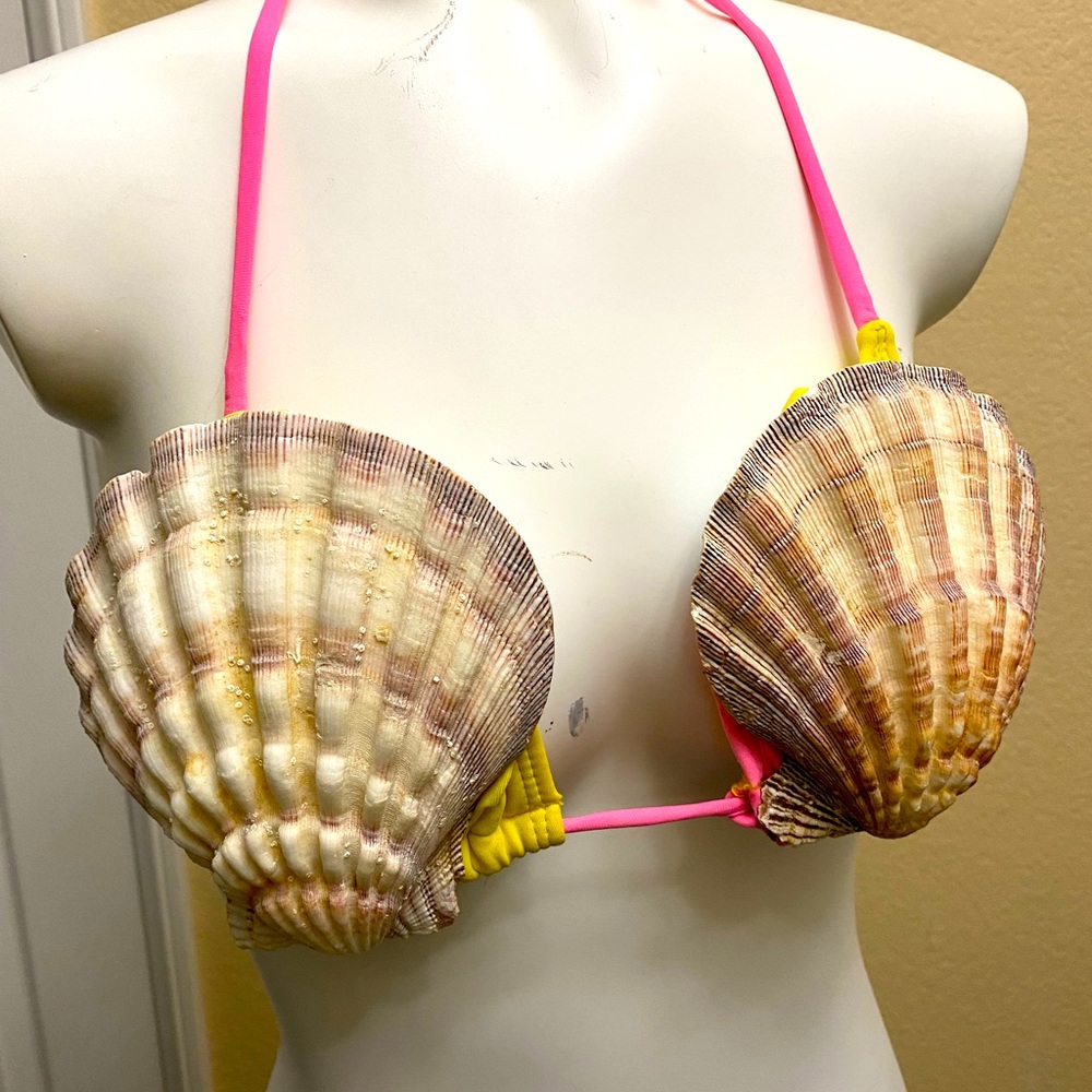 (Sorry listing has expired) Mermaid real seashell top! 🧜🏻‍♀️